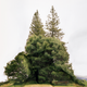 Illustration for article titled Deformed Landscape Photos Will Twist Your Sense of Reality